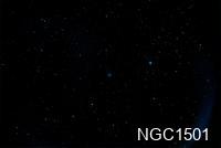 NGC1501